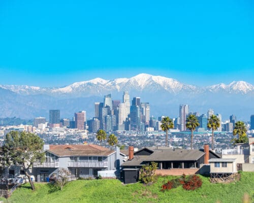 Skyline of Los Angeles with snow-capped mountain in background and palm trees in foreground.